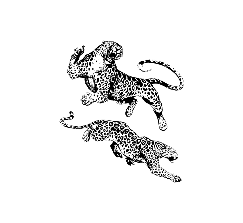 Rotating tiger